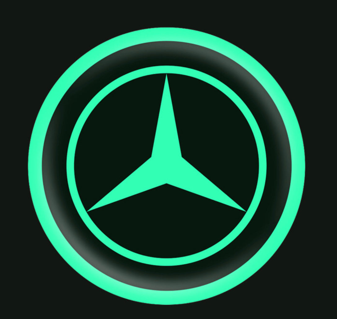 Vehicle Emblem Sticker Night Glow 2 Pcs