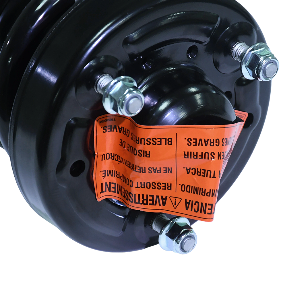 Monroe Front Strut with Coil Spring Assembly for Ford F-150