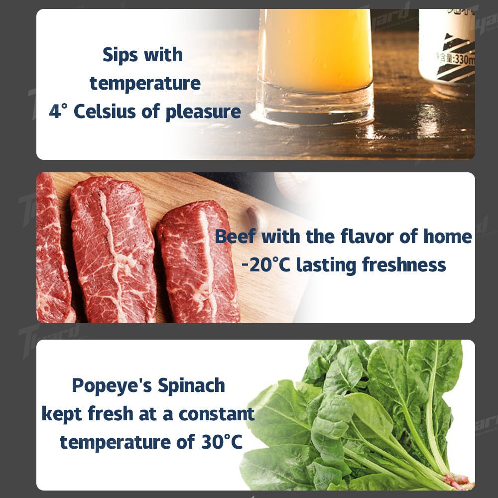 20L App Control Energy - Efficient Cooling Fridge for Model 3 & Model 3 Highland Trunk