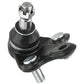 Toyota Corolla RAV4 Prius Celica Prius MOOG Front Lower Ball Joints