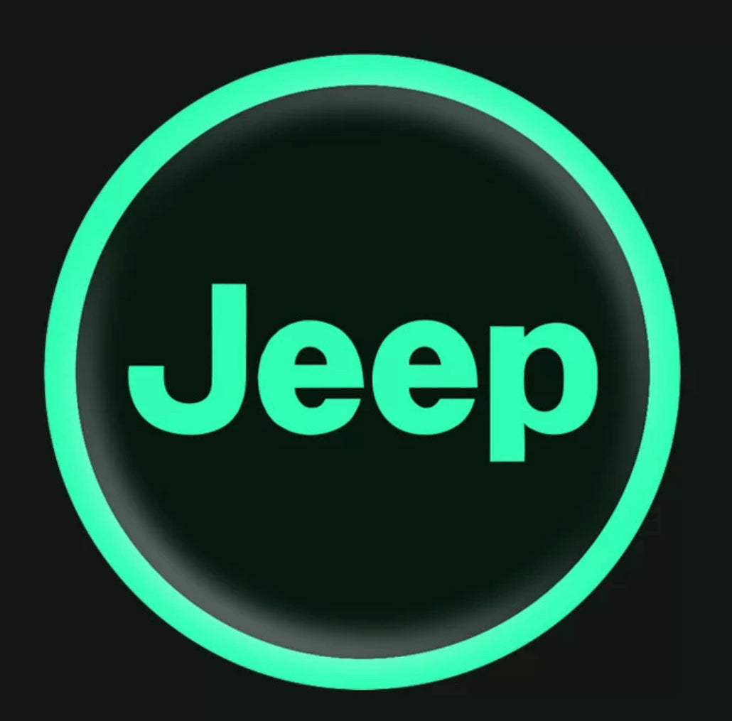 Vehicle emblem sticker Night glow 2 pcs