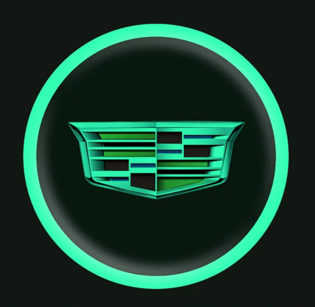 Vehicle emblem sticker Night glow 2 pcs