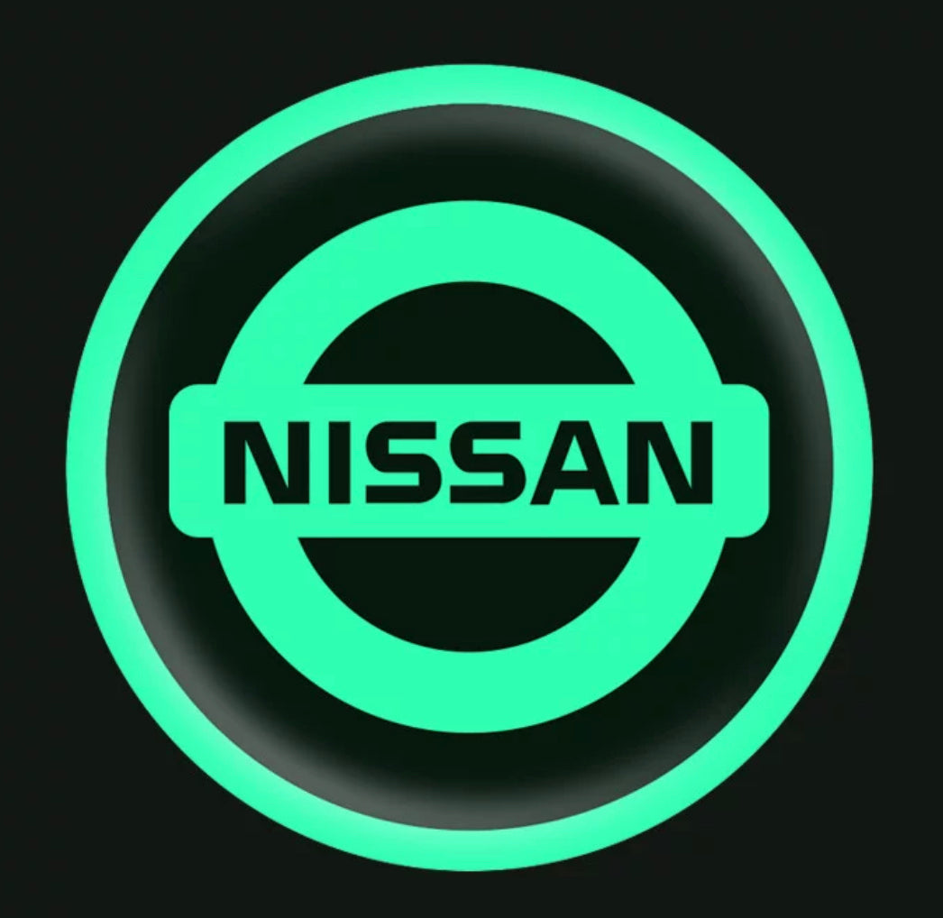 Vehicle emblem sticker Night glow 2 pcs