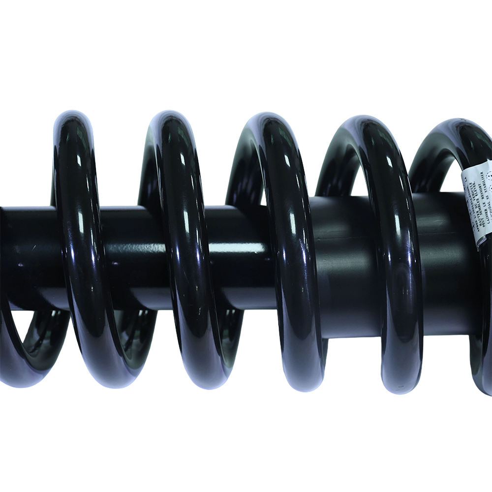 Monroe Front Strut with Coil Spring Assembly for Ford F-150