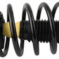 Cadillac Deville 2000 - 2005 Front Strut w/ Coil Spring