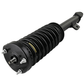 Dodge Charger 2006 - 2010 Front Strut Assembly w/ Coil Spring