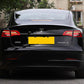 Dynamic Car LED Taillights Hawkeye Design For Tesla Model 3 & Y