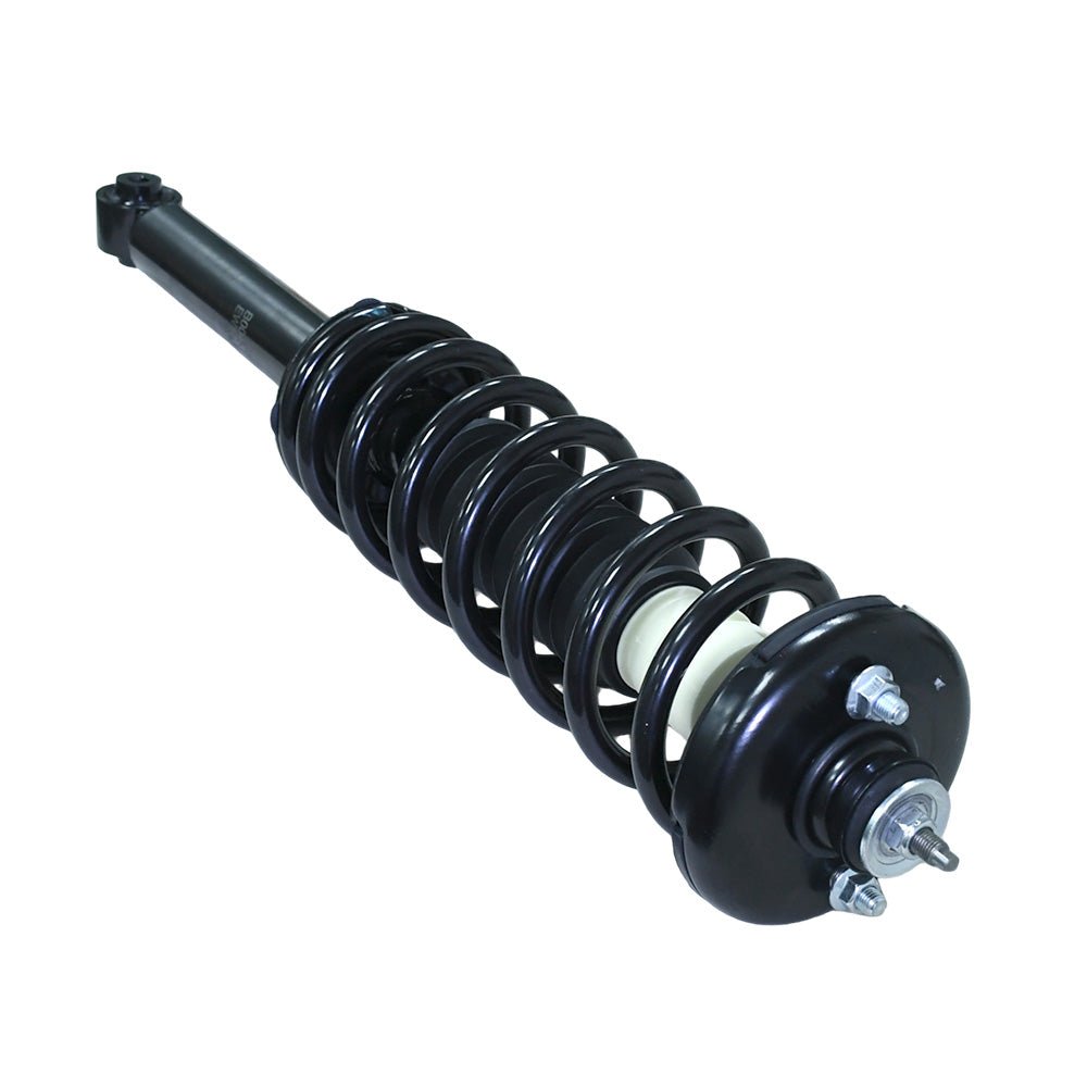 Honda Accord Acura TL 2004 - 2007 Rear Struts Coil Spring Pair