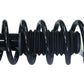 Honda Accord Acura TL 2004 - 2007 Rear Struts Coil Spring Pair