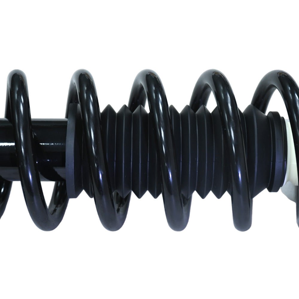 Honda Accord Acura TL 2004 - 2007 Rear Struts Coil Spring Pair