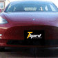 Front Water Steering Fog Lamp For Tesla Model 3/ Y