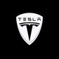 LED Tesla Logo Puddle Lights Car Door Lights For Model 3/ Y/ X/ S Model 3 Highland