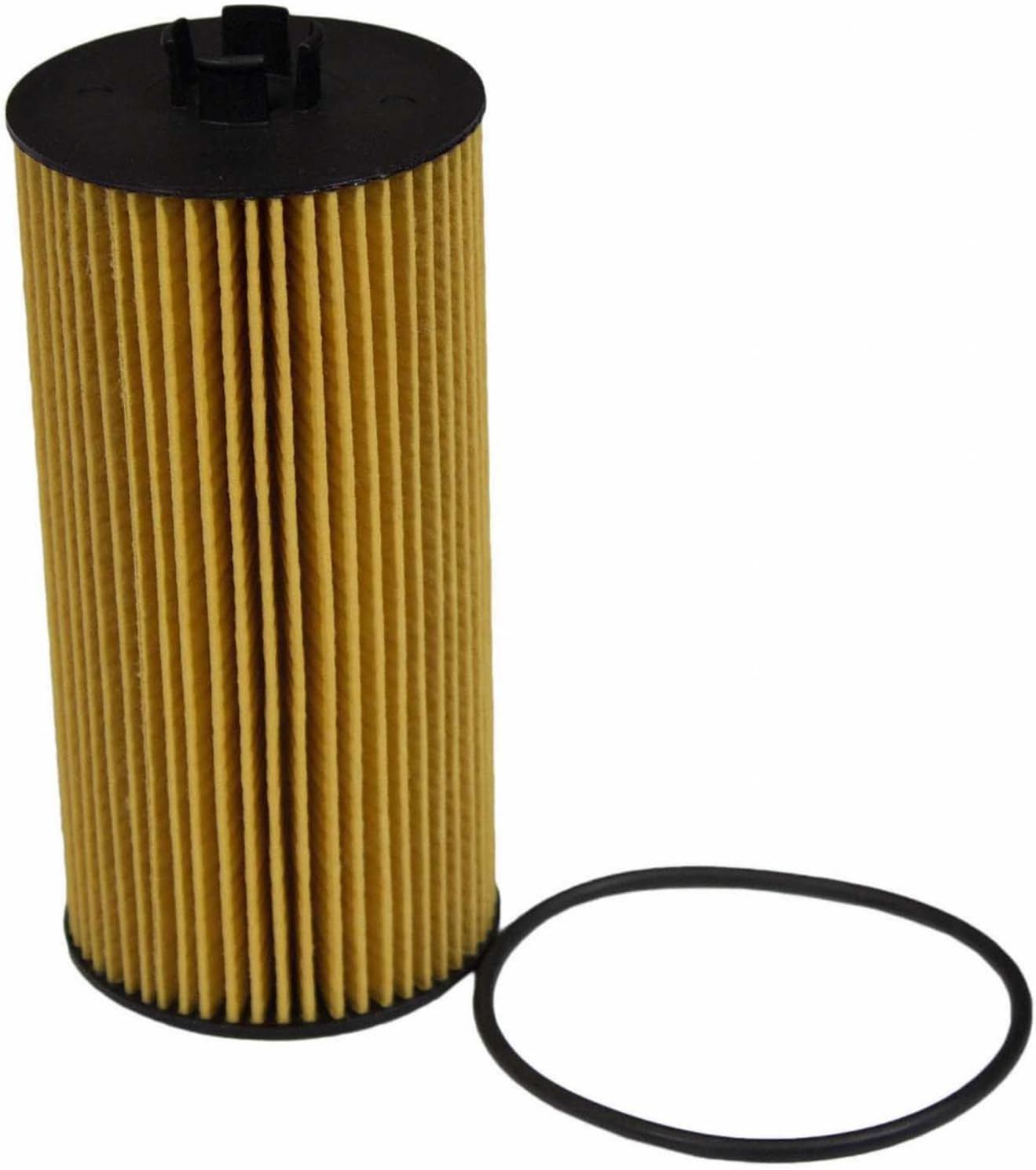 Motorcraft Engine Oil Filter - FL - 2016