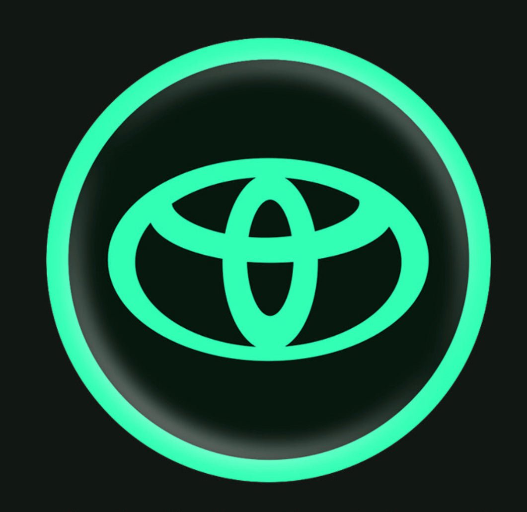 Vehicle Emblem Sticker Night Glow 2 Pcs