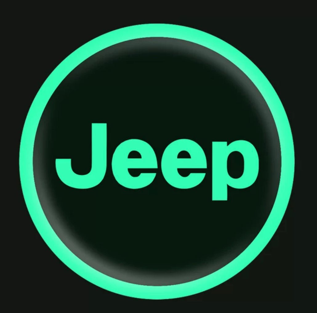 Vehicle Emblem Sticker Night Glow 2 Pcs