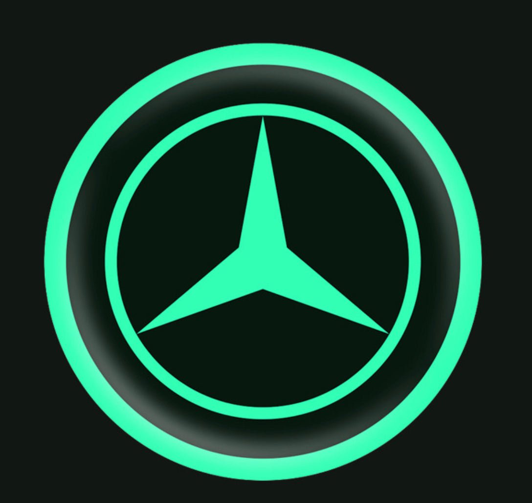 Vehicle Emblem Sticker Night Glow 2 Pcs