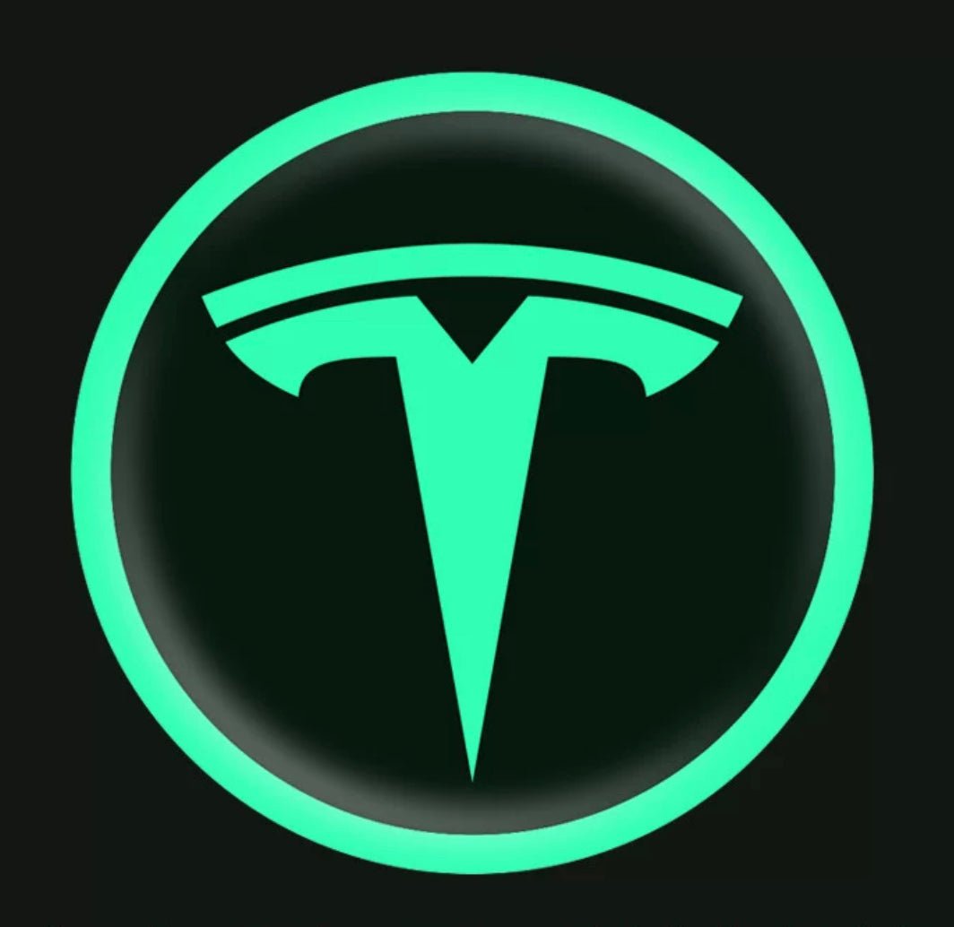 Vehicle Emblem Sticker Night Glow 2 Pcs