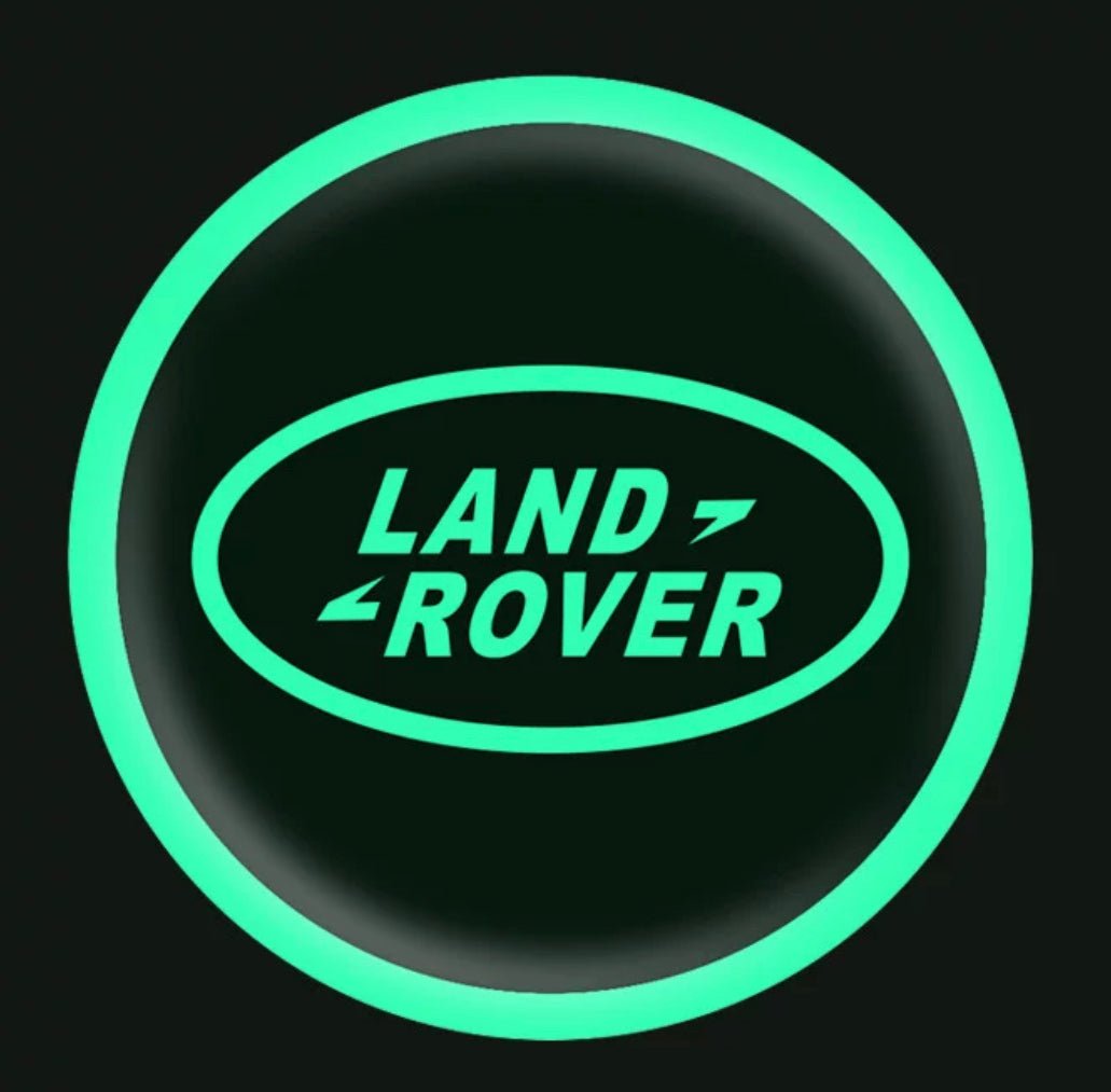 Vehicle Emblem Sticker Night Glow 2 Pcs