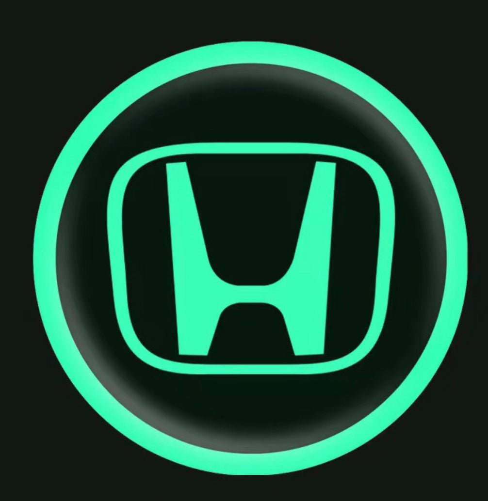 Vehicle Emblem Sticker Night Glow 2 Pcs