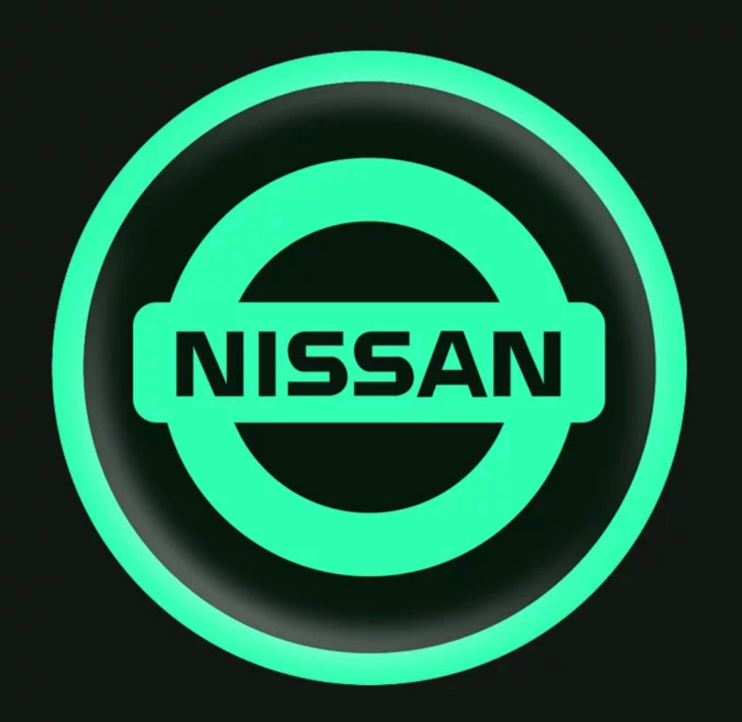 Vehicle Emblem Sticker Night Glow 2 Pcs